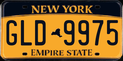 NY license plate GLD9975
