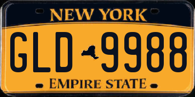 NY license plate GLD9988