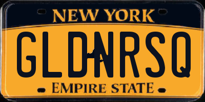 NY license plate GLDNRSQ