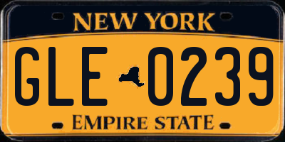 NY license plate GLE0239