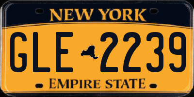 NY license plate GLE2239