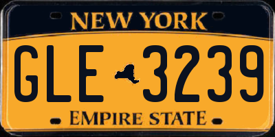 NY license plate GLE3239