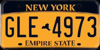NY license plate GLE4973