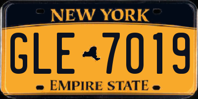 NY license plate GLE7019