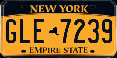 NY license plate GLE7239
