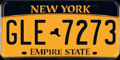 NY license plate GLE7273