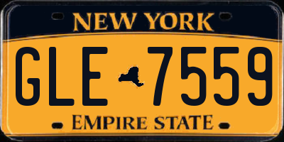 NY license plate GLE7559