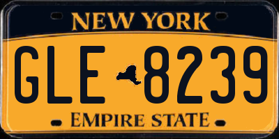 NY license plate GLE8239