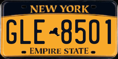 NY license plate GLE8501