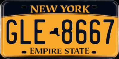 NY license plate GLE8667