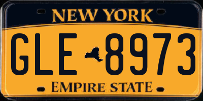 NY license plate GLE8973