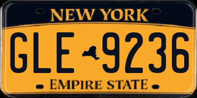 NY license plate GLE9236