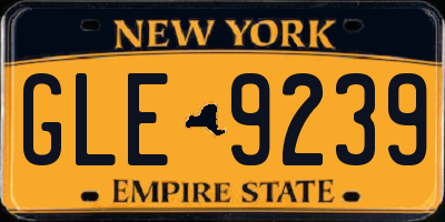 NY license plate GLE9239