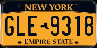 NY license plate GLE9318
