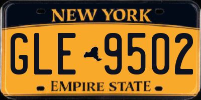 NY license plate GLE9502
