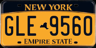 NY license plate GLE9560