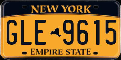 NY license plate GLE9615