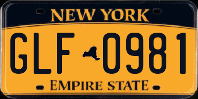 NY license plate GLF0981