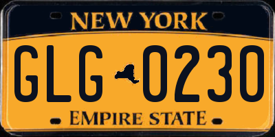 NY license plate GLG0230