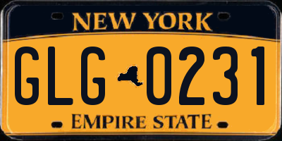 NY license plate GLG0231