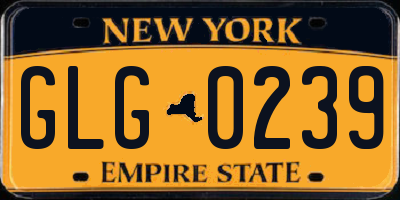 NY license plate GLG0239