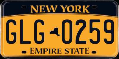 NY license plate GLG0259
