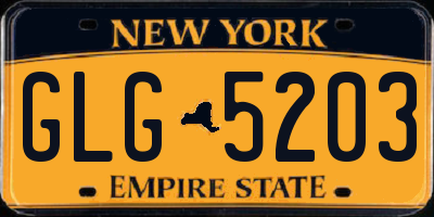 NY license plate GLG5203