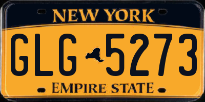 NY license plate GLG5273