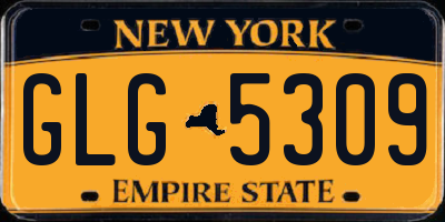 NY license plate GLG5309