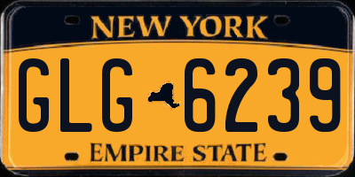 NY license plate GLG6239