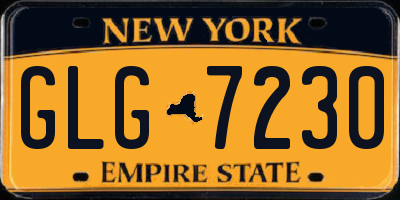 NY license plate GLG7230