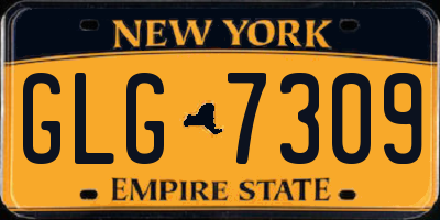NY license plate GLG7309