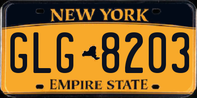 NY license plate GLG8203