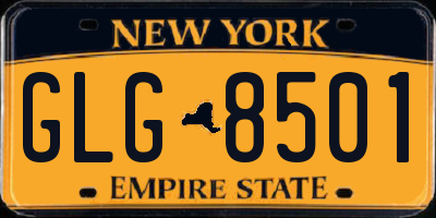 NY license plate GLG8501