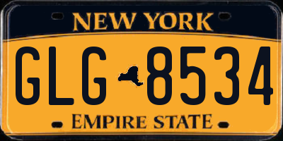 NY license plate GLG8534