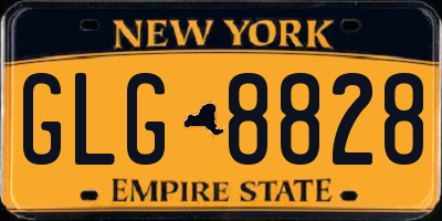 NY license plate GLG8828