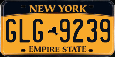 NY license plate GLG9239
