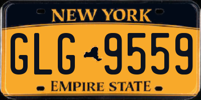 NY license plate GLG9559