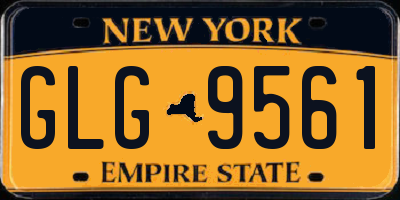 NY license plate GLG9561