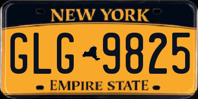 NY license plate GLG9825