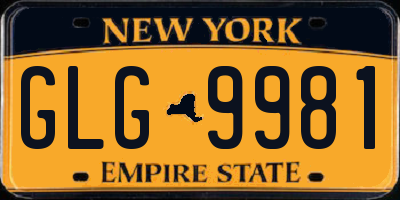NY license plate GLG9981