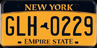 NY license plate GLH0229