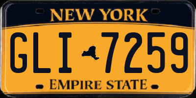 NY license plate GLI7259