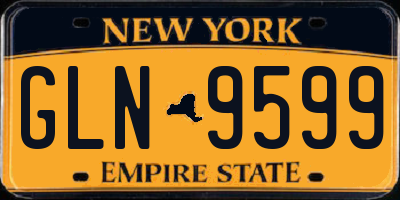 NY license plate GLN9599
