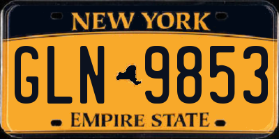 NY license plate GLN9853