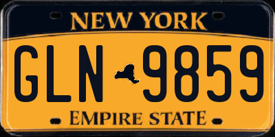 NY license plate GLN9859