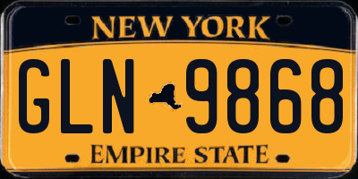 NY license plate GLN9868