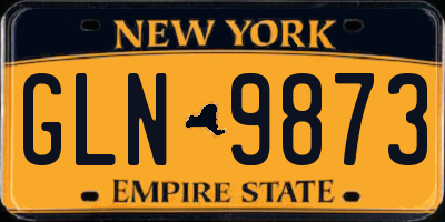 NY license plate GLN9873
