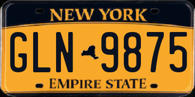 NY license plate GLN9875