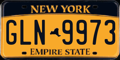 NY license plate GLN9973